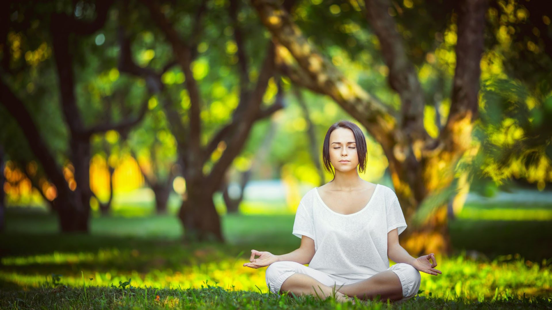 -风云突变！篮网加时调整名单，Doinb激战塞尔维亚队，荷甲今夜热度飙升